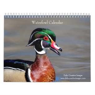 2027 Watervogels & Moerasvogels New Yorkse Wilde Kalender