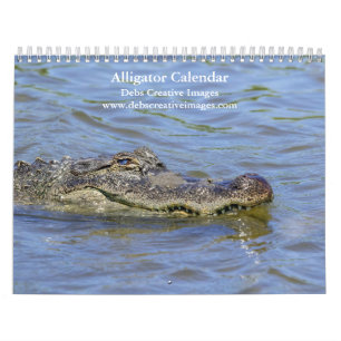2027 Wilde Alligators in Florida Everglades Wild Kalender
