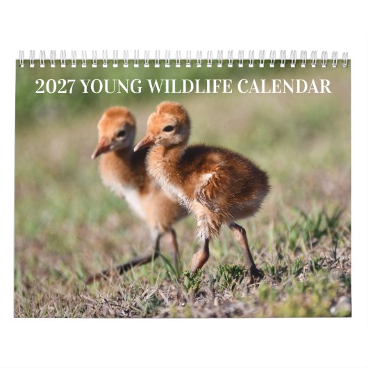 2027 Wilde Dieren Kalender (Hoes)