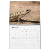 2027 Wilde dieren van Zuid-Texas | Natuurfotografi Kalender (Mar 2027)