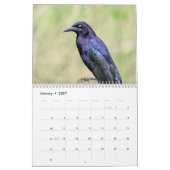 2027 Wilde dieren van Zuid-Texas | Natuurfotografi Kalender (Jan 2027)