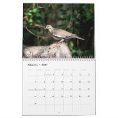 2027 Wilde dieren van Zuid-Texas | Natuurfotografi Kalender (Feb 2027)