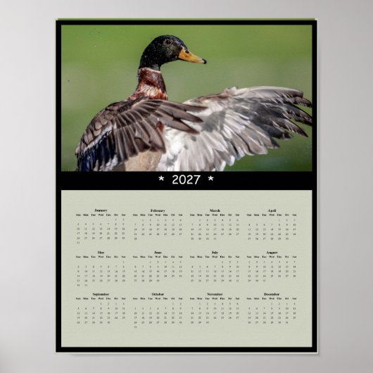 2027 Wilde Eend Muurkalender - Wilde Dieren Poster (Voorkant)