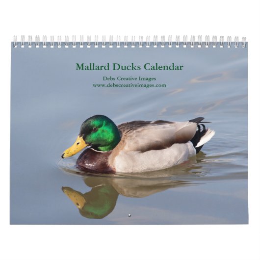 2027 Wilde Eenden | Natuurfotografie Kalender (Hoes)
