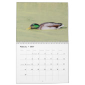 2027 Wilde Eenden | Natuurfotografie Kalender (Feb 2027)