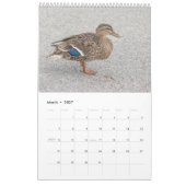 2027 Wilde Eenden van New York | Wilde dieren Kalender (Mar 2027)