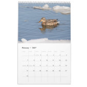 2027 Wilde Eenden van New York | Wilde dieren Kalender (Feb 2027)