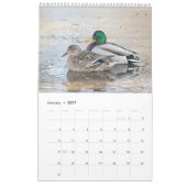 2027 Wilde Eenden van New York | Wilde dieren Kalender (Jan 2027)
