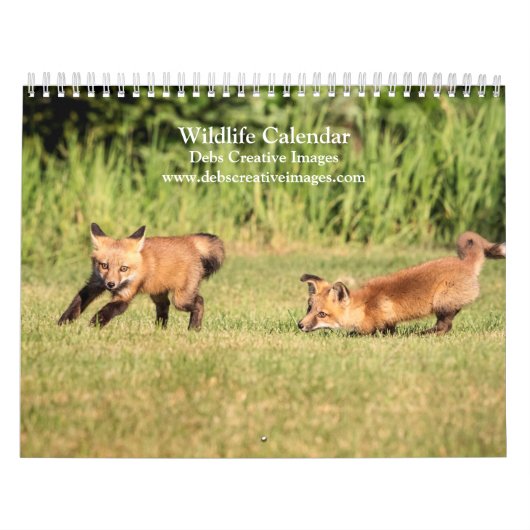 2027 Wilde leven in het Noordoosten, Natuurfotogra Kalender (Hoes)