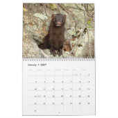 2027 Wilde leven in het Noordoosten, Natuurfotogra Kalender (Jan 2027)