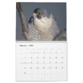 2027 Wilde leven in het Noordoosten, Natuurfotogra Kalender (Feb 2027)