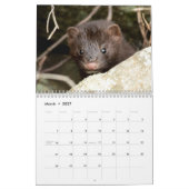 2027 Wilde leven van de Adirondack-bergen Kalender (Mar 2027)