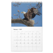 2027 Witkoparenden | Natuurfotografie Kalender (Feb 2027)