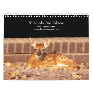 2027 Witstaarthert | Hudson Valley Wildlife Kalender