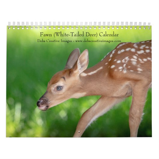 2027 Witstaartherten | Baby-wildleven Kalender (Hoes)