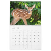 2027 Witstaartherten | Baby-wildleven Kalender (Mar 2027)