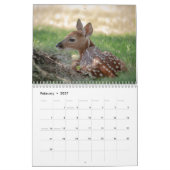 2027 Witstaartherten | Baby-wildleven Kalender (Feb 2027)