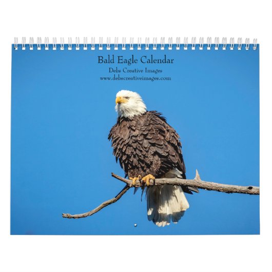 2027 Wittekoppen | Amerikaanse Wilde Dieren Kalender (Hoes)