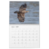 2027 Wittekoppen | Amerikaanse Wilde Dieren Kalender (Mar 2027)