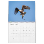 2027 Wittekoppen | Amerikaanse Wilde Dieren Kalender (Feb 2027)