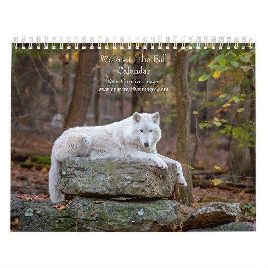 2027 Wolven in de Herfst | Herfst Wolf Fotografie Kalender (Hoes)