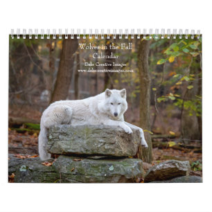2027 Wolven in de Herfst Herfst Wolf Fotografie Kalender