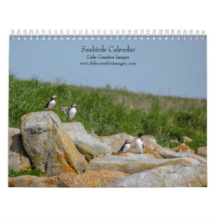 2027 Zeevogels van Machias Seal Island   Maine Coa Kalender