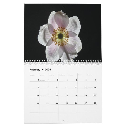 202y witte bloemen kalender (Feb 2026)