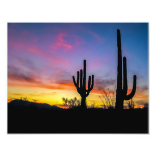 2034-2-Arizona Woestijn bij zonsondergang met Cact Foto Afdruk