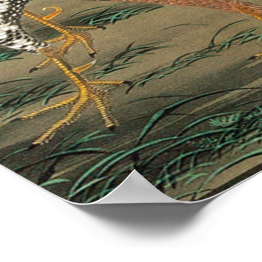 20. 群 図, 若 冲 Roosters, Jakuchu Poster (Hoek)