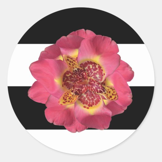 20 - 1,5-enveloppen - Moderne strepe Black White Ronde Sticker (Voorkant)