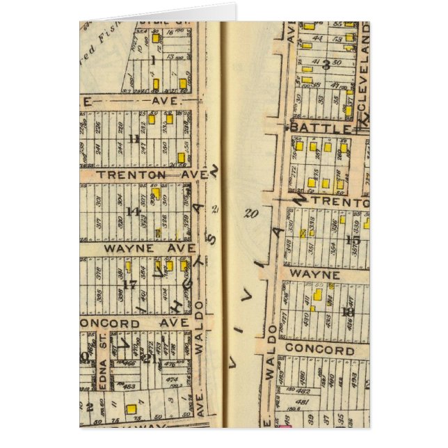 20-21 White Plains (Voorkant)