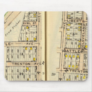 20-21 White Plains Muismat