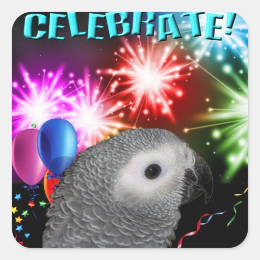 20 African Grey Stickers (Voorkant)