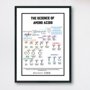 20 aminozuren met zijn kenmerken poster