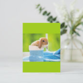 20_baby_animals (4) BABY BUNNY RABBIT blue greens Briefkaart (Staand voorkant)