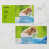 20_baby_animals (4) BABY BUNNY RABBIT blue greens Visitekaartje (Voorkant / Achterkant)