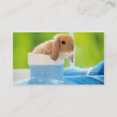 20_baby_animals (4) BABY BUNNY RABBIT blue greens Visitekaartje (Achterkant)