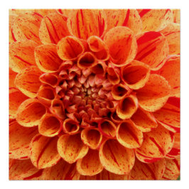 20-inch x20-inch Oranje Poster papier (halfglanzen