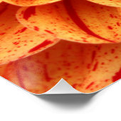 20-inch x20-inch Oranje Poster papier (halfglanzen (Hoek)