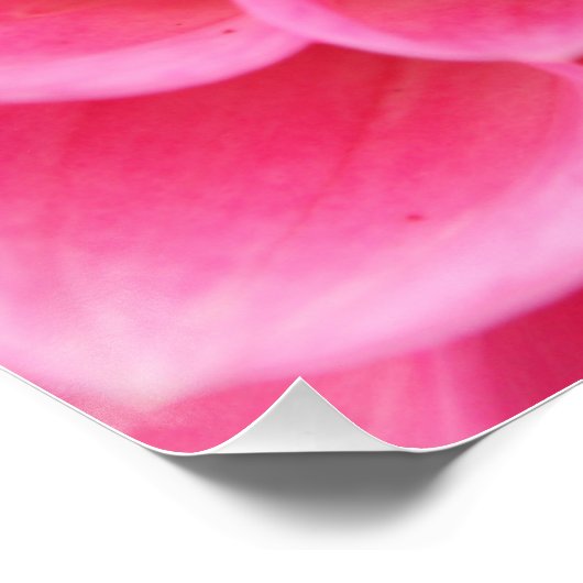 20-inch x20-inch, Poster papier (halfglanzend) roz (Hoek)