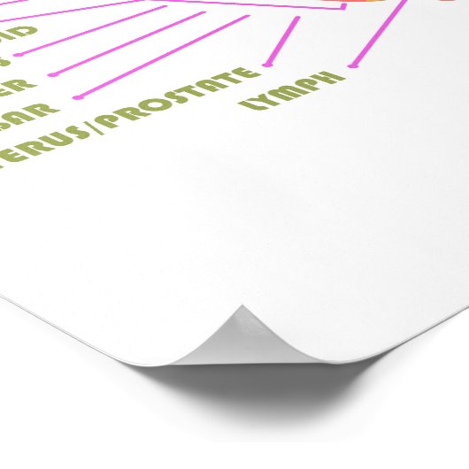 20-inch x 16-inch Hand Reflexology Poster (Hoek)