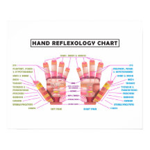 20-inch x 16-inch Hand Reflexology Poster