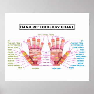 20-inch x 16-inch Hand Reflexology Poster