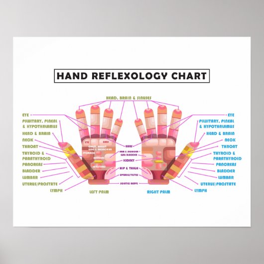 20-inch x 16-inch Hand Reflexology Poster (Voorkant)