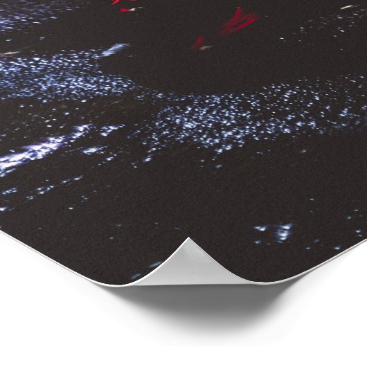 20 inch x 30 inch Poster (matte afwerking) (Hoek)