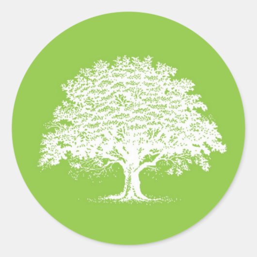 20 Lente Boom Groene/Witte Huwelijksenvelop Afdich Ronde Sticker (Voorkant)