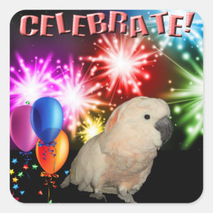 20 Moluccaan Cockatoenstickers Vierkante Sticker