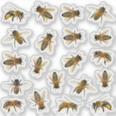 20 Realistisch Honeybee Apiary Stickers (Voorkant)