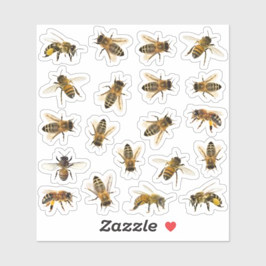20 Realistisch Honeybee Apiary Stickers (Vel)